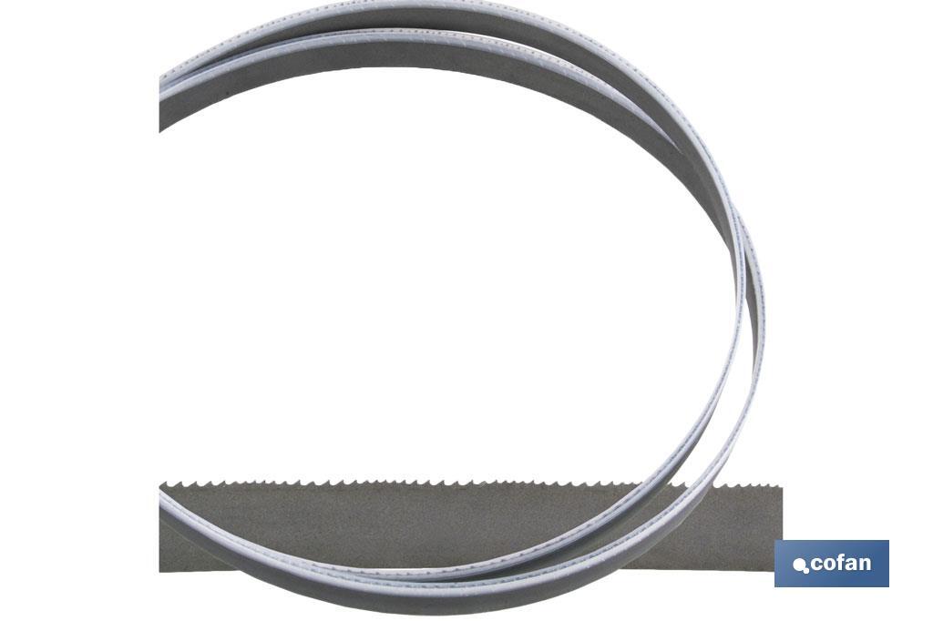 SIERRA DE CINTA 27X0,9 DENT.5/8 L-2450MM (PACK: 1 UDS) SIERRA DE CINTA 27X0,9 DENT.5/8 L-2450MM (PACK: 1 UDS)